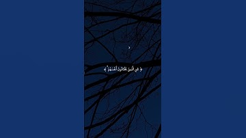 واستغفر الله إن الله كان غفورا رحيما | ياسر الدوسري | سورة النساء