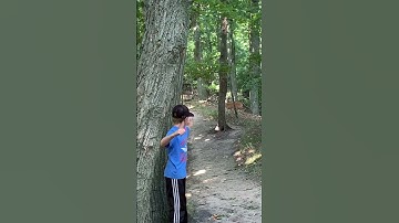 He shot a deer with a slingshot lol nothing was seriously injured   #viral#deer#slingshot#bullseye