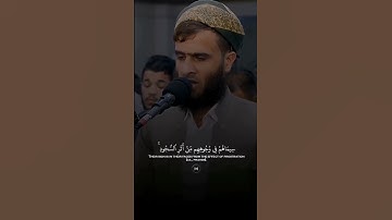 محمد رسول الله و الذين معه اشداء على الكفار  | سوره الفتح | القارئ محمد رزكار