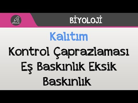 Kalıtım - Kontrol Çaprazlaması, Eş Baskınlık, Eksik Baskınlık