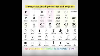 Что такое ТРАНСКРИПЦИЯ в английском языке, 2 часть, практика: выучим все звуки за 5 минут!