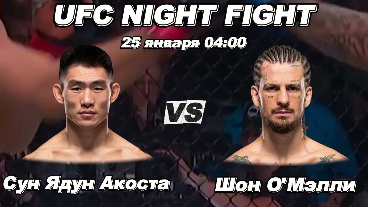 Шон О’Мэлли vs Сун Ядун — прогноз на бой UFC 324