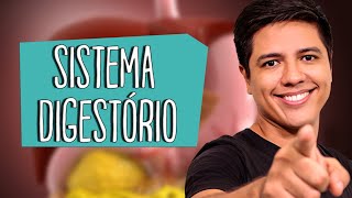 SISTEMA DIGESTÓRIO - Anatomia e Fisiologia - Prof. Kennedy Ramos