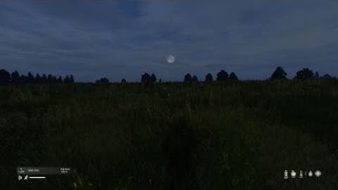 DayZ Tracer rounds over us