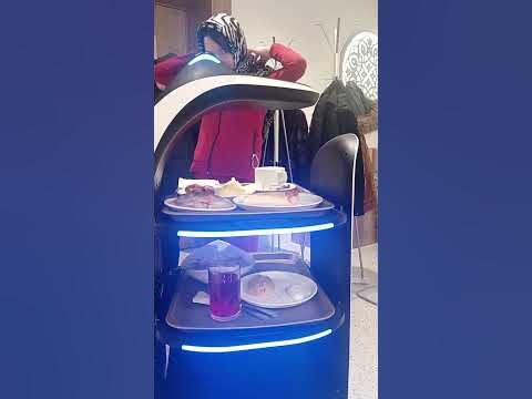 Робот-кот официант в Казанском кафе Алан Аш. 2022 - YouTube