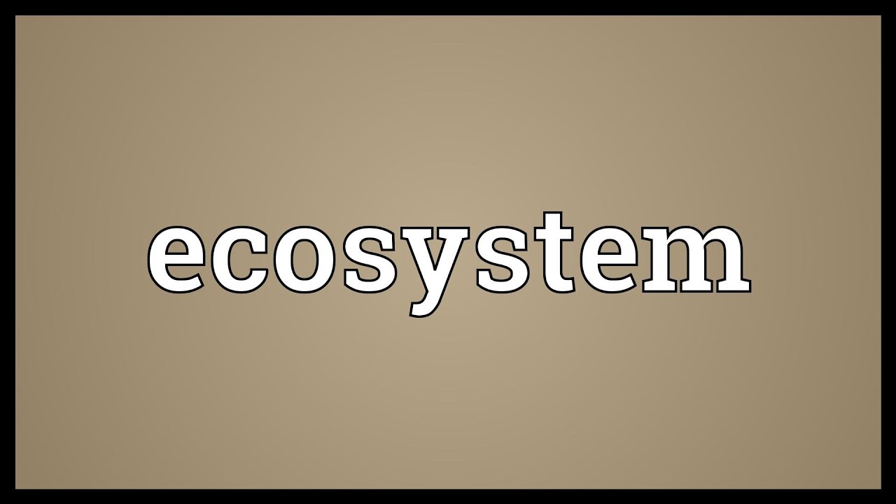 Ecosystem Meaning