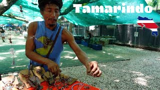 Tamarindo Skate Park Market Costa Rica Day 4 #costaricapuravida #costarica