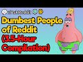 3.5-Hour Compilation of the Dumbest People on Reddit