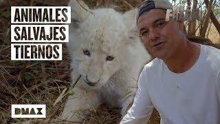 Estos son algunos de los encuentros más entrañables de Wild Frank con animales salvajes | Wild Frank