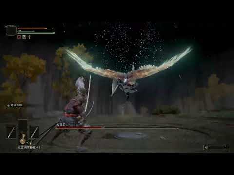 [Elden Ring] 熔爐騎士 Crucible Knight  - 雙刀武士