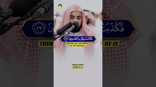 Soothing Quran Recitation 📖 from Surah Yusuf Ayat 26-27 by Raad Al Kurdi 🤲🏼
