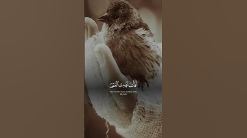 اجمل تلاوة قران هادئة❤️🌚 #اكسبلور #المصحف