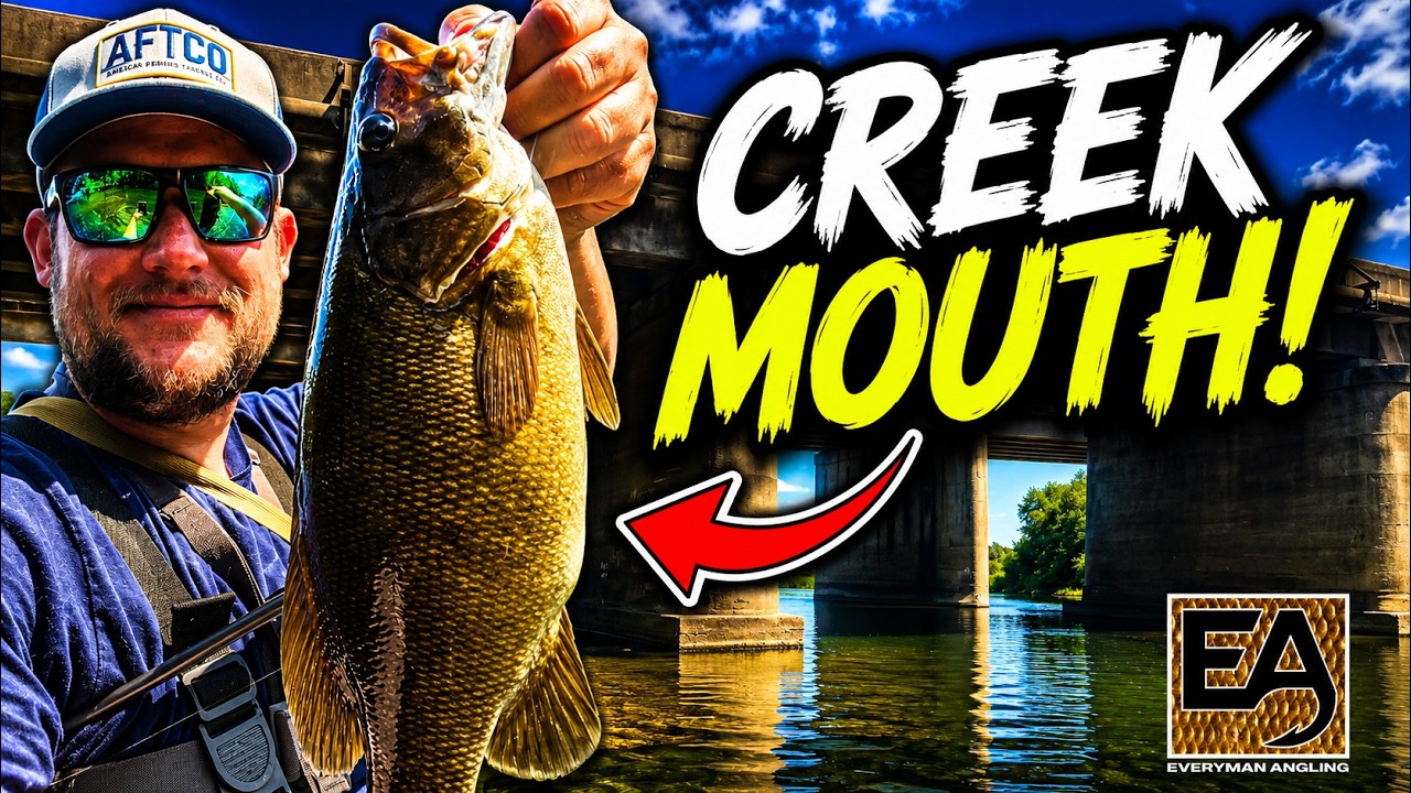 Creek mouth fishing location for smallmouth bass