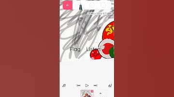 flag animation