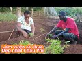 Gia đình @Familiaafricano làm vườn Cà Chua đẹp không tưởng||2Q Vlogs Cuộc Sống Châu Phi