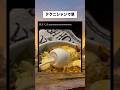 テクニシャンで草 #おすすめ #プチ知識