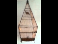 Download Jambol butterfly display Jambol butterfly display