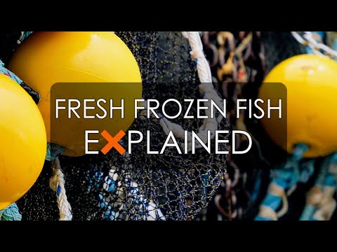 Fresh Frozen Fish - EXPLAINED