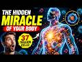37 Trillion Cells Are Working Inside You Right Now | Amazing Cell Facts