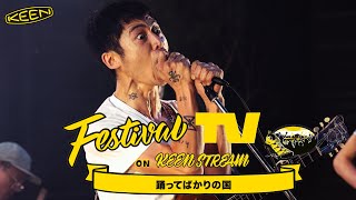 踊ってばかりの国　Tシャツ　レア　希少　ライブ　フェス mqdefault.jpg