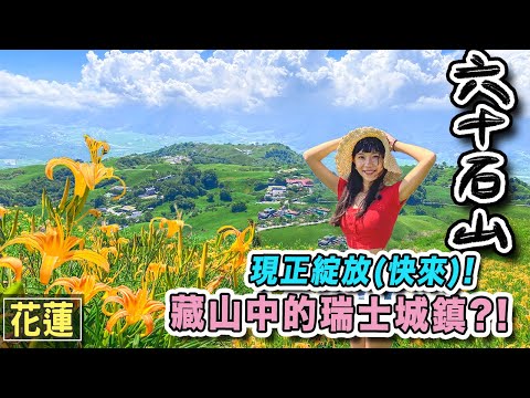 六十石山 金針花海大爆發！下車直達歐洲美景啦！ | 花蓮景點