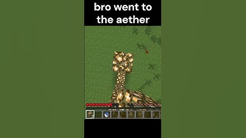 bro went to the aether #shorts