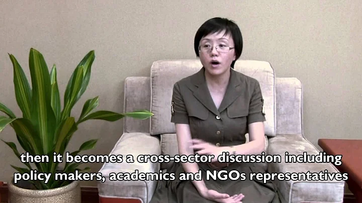 Convening Voices: Participants' impressions of an UNRISD workshop