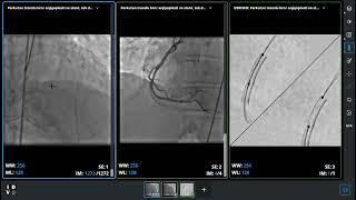 Radiology & Medical / Hamza Şahin Resimi