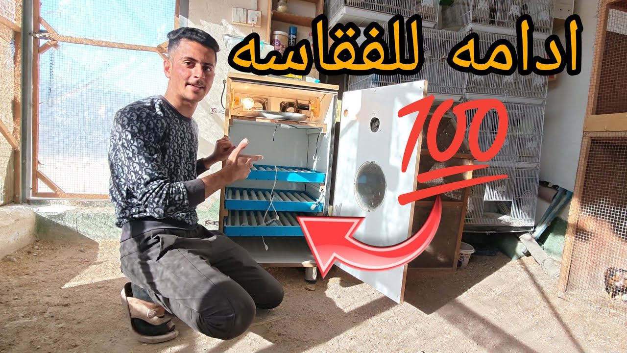 أفضل طريقة الصيانة الفقاسه + الروتين اليومي 🤩