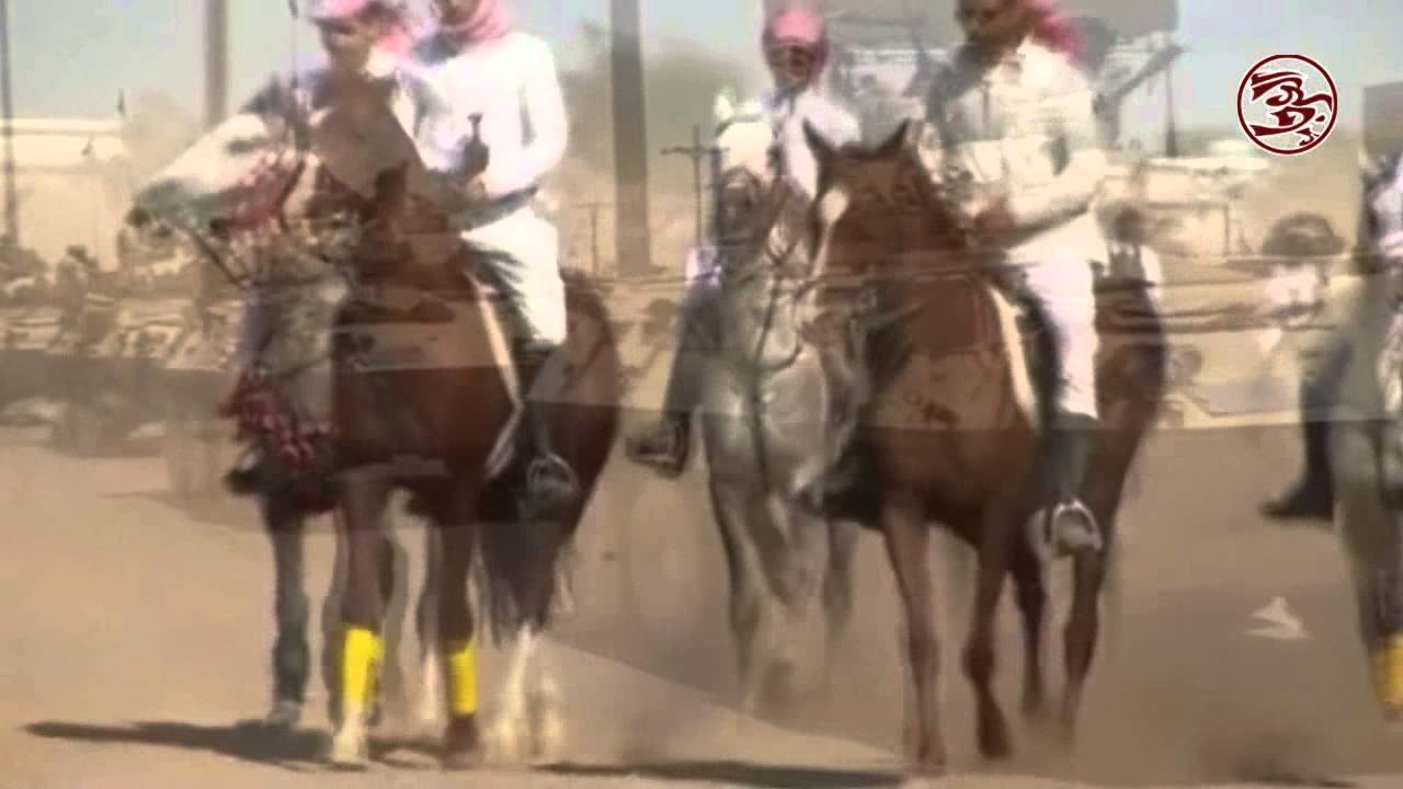 الحد الجنوبي كلمات محمد ابن الذيب أداء سهيل يام