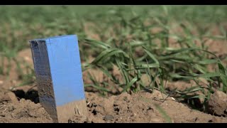 Soil sampling and testing. 2021.