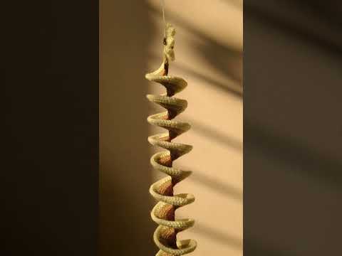 Check My Instagram Profile For Order Https Www Instagram Com Tiny Moth Igsh MXMyb2kzYXhtc2syaw 