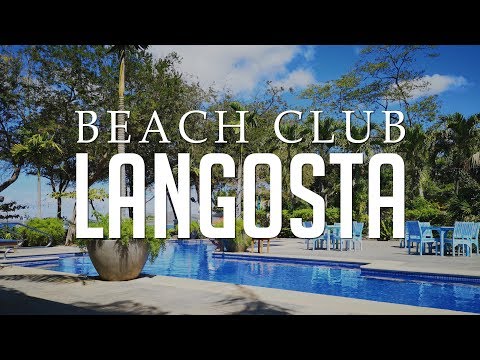 Langosta Beach Club: Costa Rica | Beachfront Bar & Restaurant