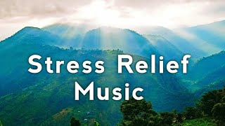 Mind Relaxing Music/Stress Relief Music @dahalasmita4943