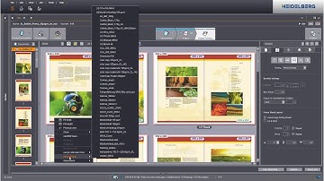 Mixed Media Production with Prinect DFE.