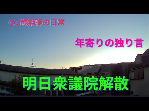 衆議院明日解散、緊縮増税派は撲滅したい、思いのままに語ります、REDストリート、フィリピン、アンヘレス、61歳無職の日常、Love Angeles、独り呑み、家呑み、年金生活、れいわ新選組、山本太郎