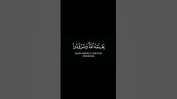 الحج أشهر معلومات | فهد البواردي | سورة البقرة.       #القرآن_الكريم #المصحف #quran #آيات