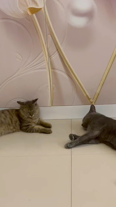 Pada Tepar… 😀😀 sehat sehat yaa kalian.. panjang umur.. biar bisa nemenin mama dalam waktu yg lama