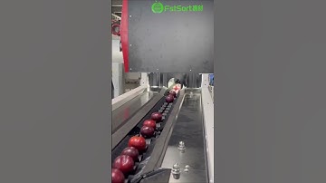 Plum Optical Sorting, Grading and Packing Machines,Fruit Processing Line,Fruit Vision Sorter