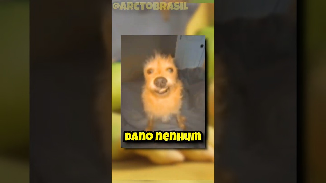 A TRANSFORMAÇÃO da FÚRIA!!!!
