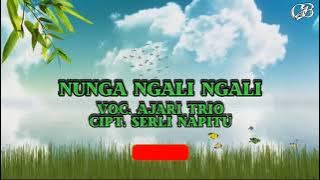 Video Lirik Lagu Batak - Ajari Trio - Nunga ngali ngali - cipt.  serli napitu