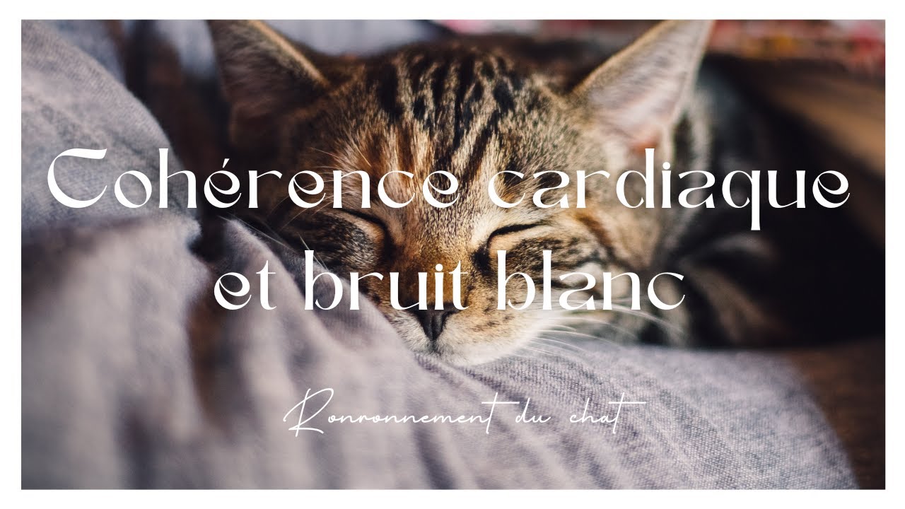 5 MIN DE COHERENCE CARDIAQUE ET BRUIT BLANC METHODE ANTISTRESS