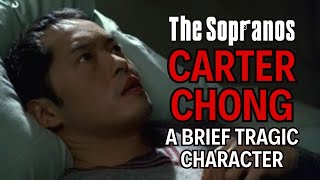 The Sopranos Carter Chong - A Brief Tragic Character
