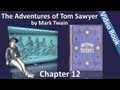 Chapter 12  the adventures of tom sawyer by mark twain  the cat and the painkiller