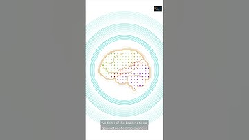 Consciousness: Finally Revealed by Quantum Physics? ⚛️ #quantum #consciousness #quantumphysics