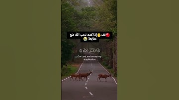 إذا كنت تحب الله ضع متابعة 😭 #آيات_القرآن #المصحف #اكسبلور