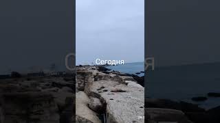 26 октября 2025 г.