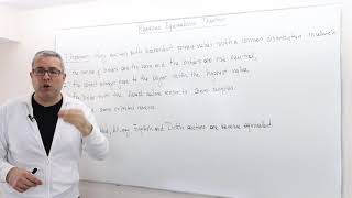 (AGT10E11) [Game Theory] Revenue Equivalence Theorem