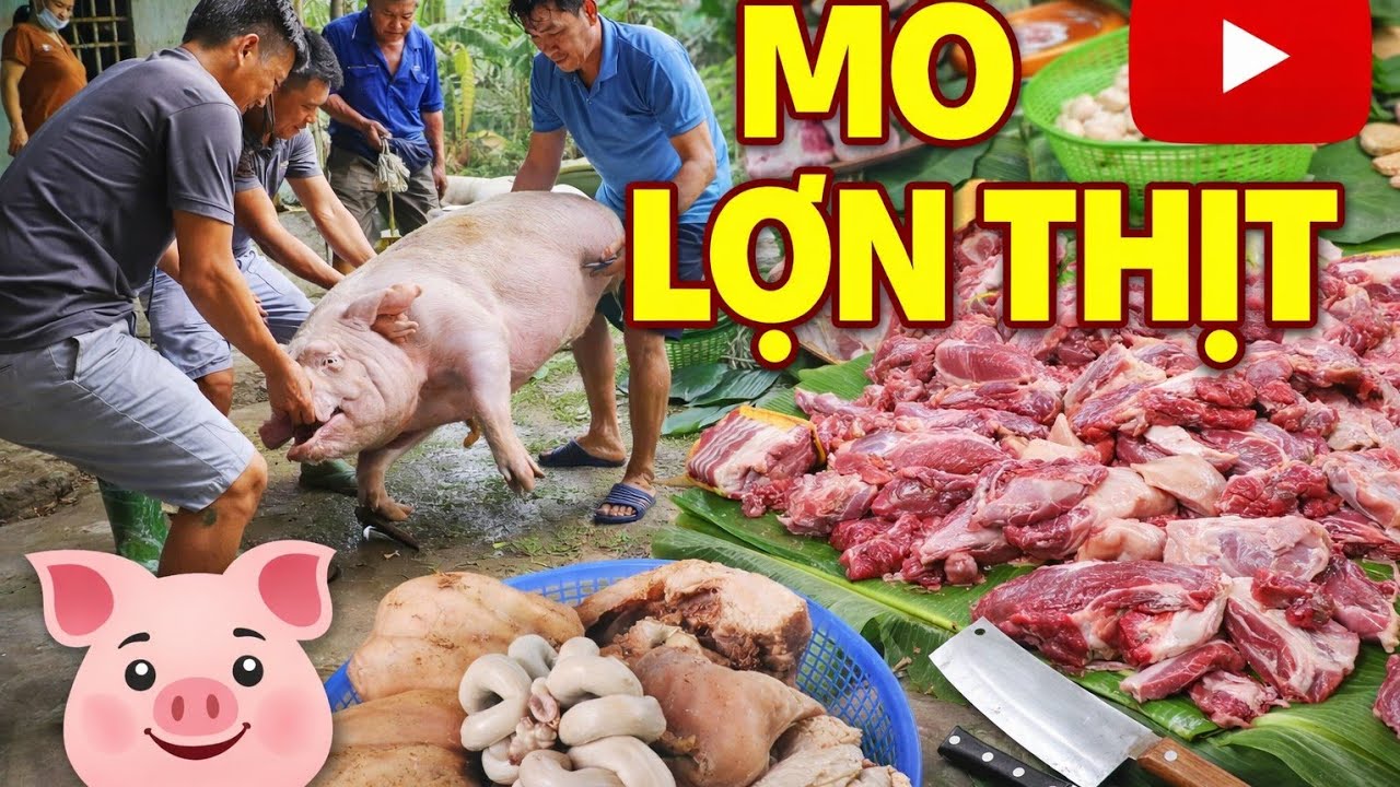 Mổ Lợn Nhà Quê – Ăn Chia Vui Vẻ Cùng Anh Em Tuyên Quang.