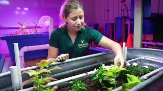Embry-Riddle Aeronautical University: College of Engineering and College of Arts and Sciences Tour